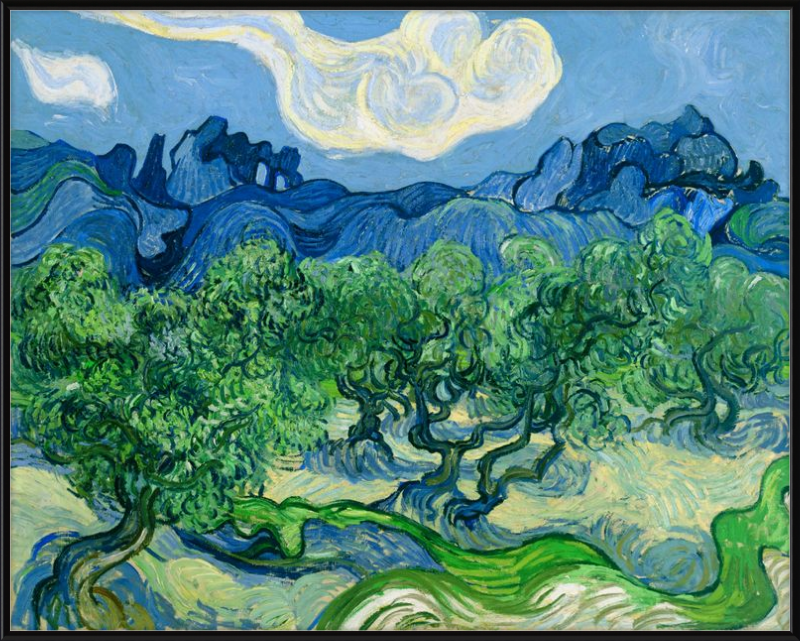 Olivos en los Alpilles, Vincent van Gogh - 1889