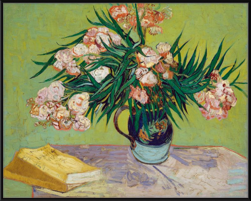 Oleanders, Vincent van Gogh - 1888