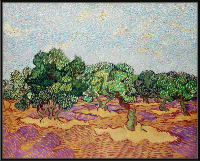 Olivos Vincent van Gogh - 1889