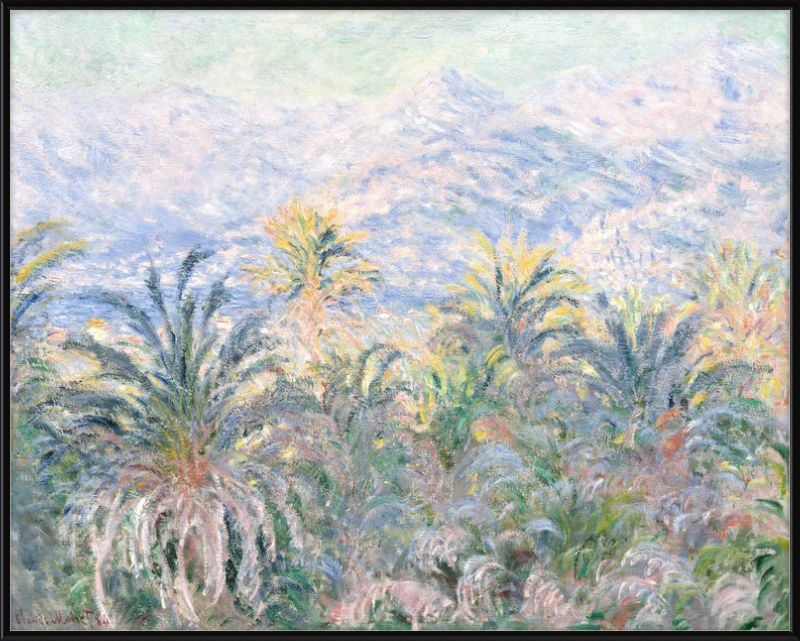 Palme a Bordighera, Claude Monet - 1884