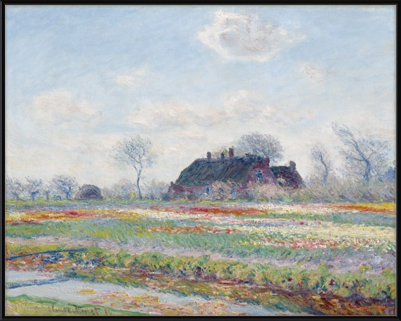 Campi di tulipani a Sassenheim, Claude Monet – 1886