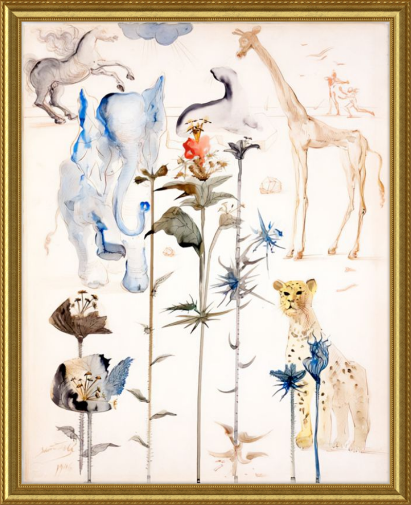 Animali e piante, Salvador Dalí