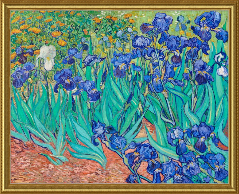 Iris, Vincent van Gogh - 1889