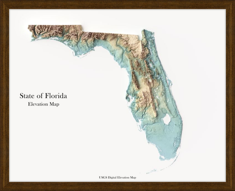 Mappa in rilievo ombreggiato della Florida - Toni della terra